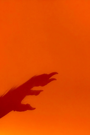 LG_13136