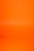 LG_13565