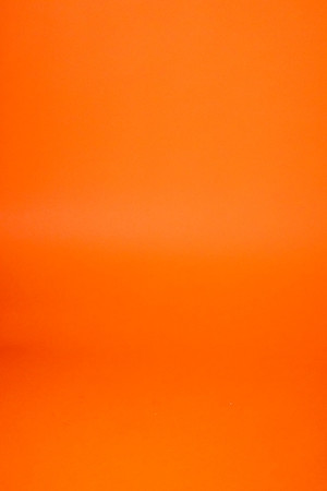 LG_13565