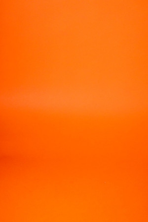 LG_13566