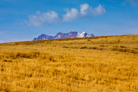 Andean Landscapes