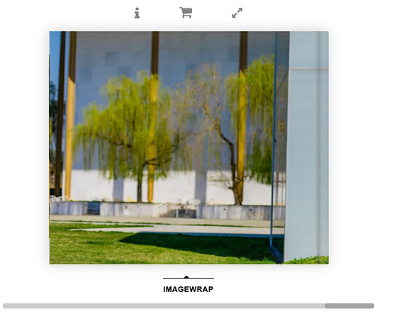 Screen Shot 2021-11-14 at 1.43.38 PM