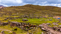 Alpaca Farm