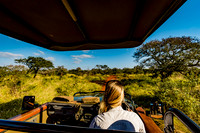 Safari Animal Shots