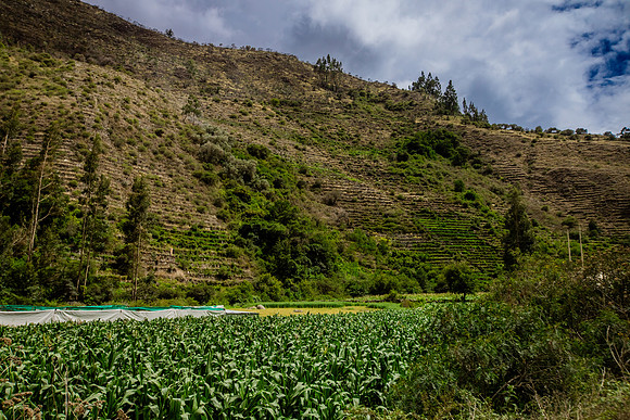 Maras, Ollantaytambo