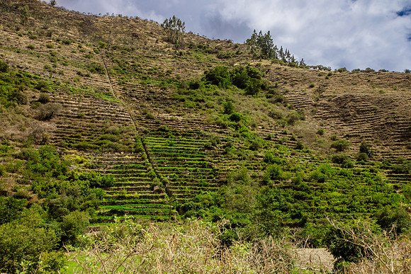 Maras, Ollantaytambo