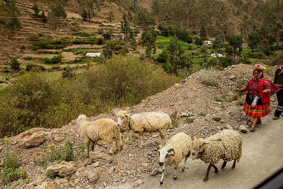 Maras, Ollantaytambo