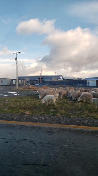 20190417_095107