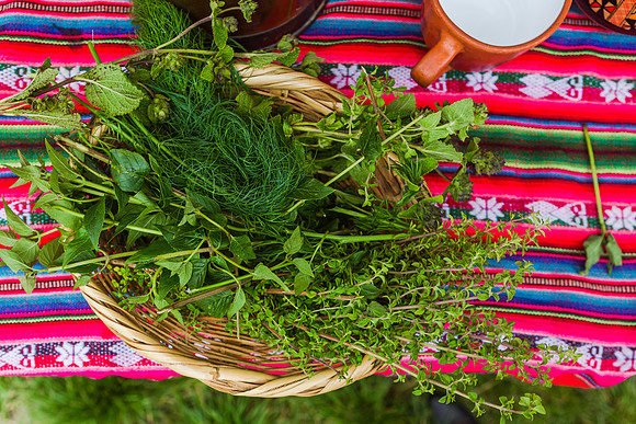 KelliBeePhotography-Peru-Willoq-Community-0063