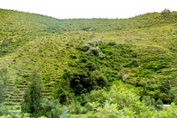 KelliBeePhotography-Peru-Sacred-Valley-0005