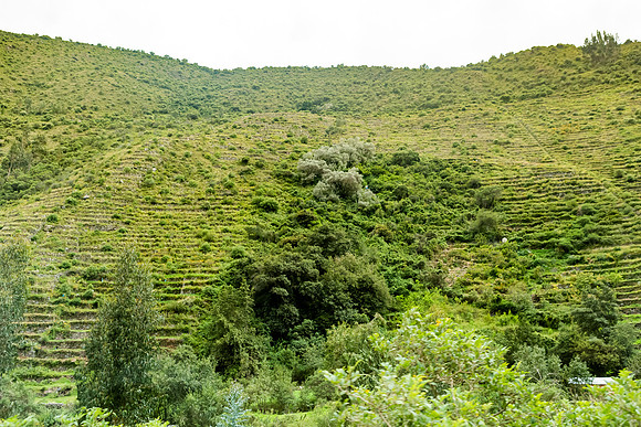 KelliBeePhotography-Peru-Sacred-Valley-0005