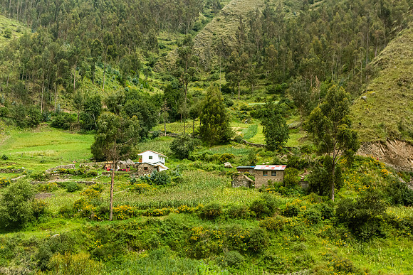 KelliBeePhotography-Peru-Sacred-Valley-0015