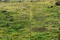 KelliBeePhotography-Peru-Sacred-Valley-0007