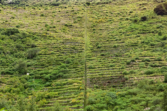 KelliBeePhotography-Peru-Sacred-Valley-0007