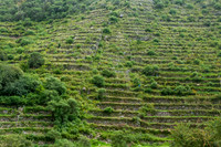 KelliBeePhotography-Peru-Sacred-Valley-0004