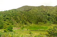 KelliBeePhotography-Peru-Sacred-Valley-0014