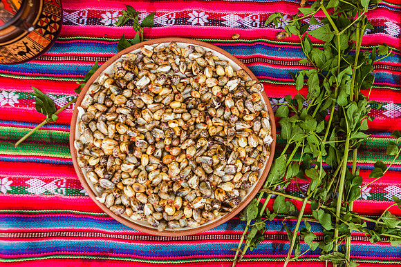KelliBeePhotography-Peru-Willoq-Community-0061