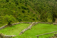 KelliBeePhotography-Peru-Sacred-Valley-0012
