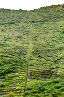 KelliBeePhotography-Peru-Sacred-Valley-0008