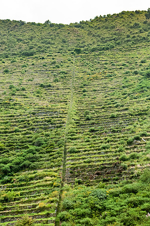 KelliBeePhotography-Peru-Sacred-Valley-0008