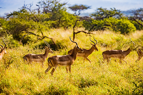 003A4923