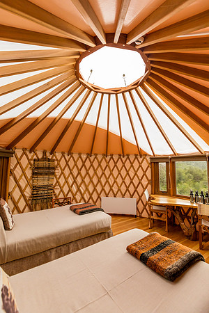 003A5442