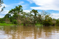 KelliBeePhotography-Peru-Amazon-Day4-0009