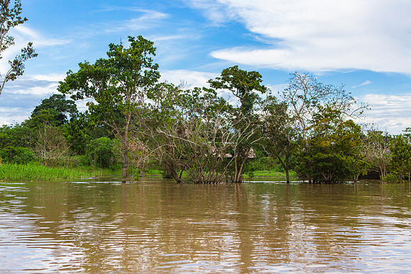 KelliBeePhotography-Peru-Amazon-Day4-0009