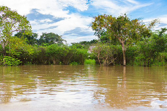 KelliBeePhotography-Peru-Amazon-Day4-0011