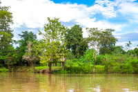 KelliBeePhotography-Peru-Amazon-Day4-0019