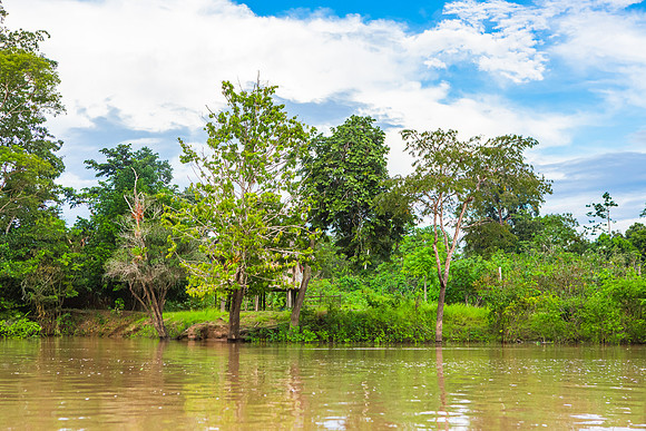 KelliBeePhotography-Peru-Amazon-Day4-0019
