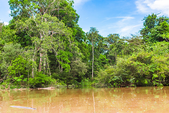 KelliBeePhotography-Peru-Amazon-Day4-0024