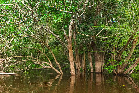 KelliBeePhotography-Peru-Amazon-Day4-0025