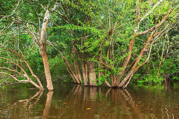 KelliBeePhotography-Peru-Amazon-Day4-0026