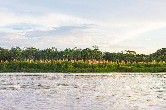 KelliBeePhotography-Peru-Amazon-Day4-0053