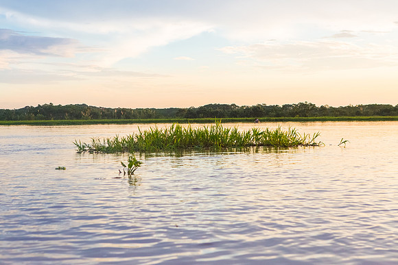 KelliBeePhotography-Peru-Amazon-Day4-0055