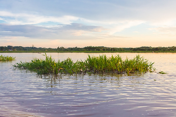 KelliBeePhotography-Peru-Amazon-Day4-0056