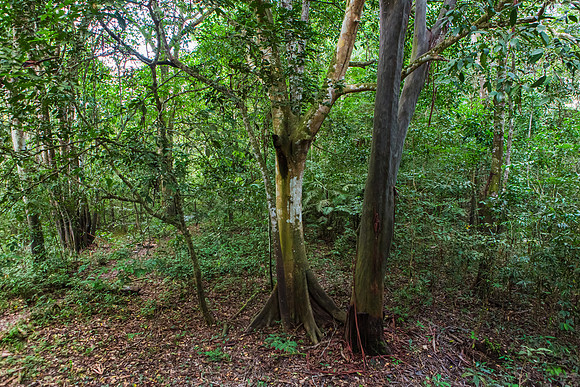 KelliBeePhotography-Peru-Amazon-Day4-0032