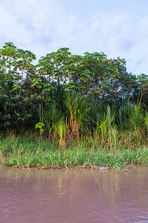KelliBeePhotography-Peru-Amazon-Day5-0001