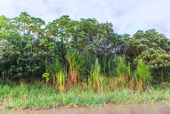KelliBeePhotography-Peru-Amazon-Day5-0002