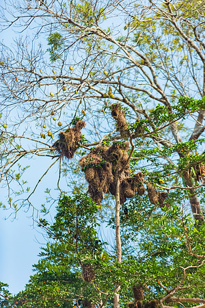 KelliBeePhotography-Peru-Amazon-Day5-0004