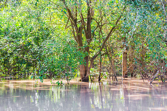 KelliBeePhotography-Peru-Amazon-Day5-0010