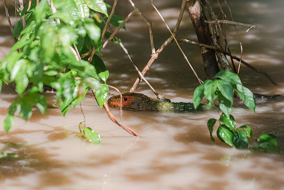 KelliBeePhotography-Peru-Amazon-Day5-0041