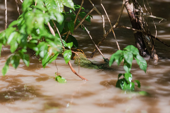 KelliBeePhotography-Peru-Amazon-Day5-0045