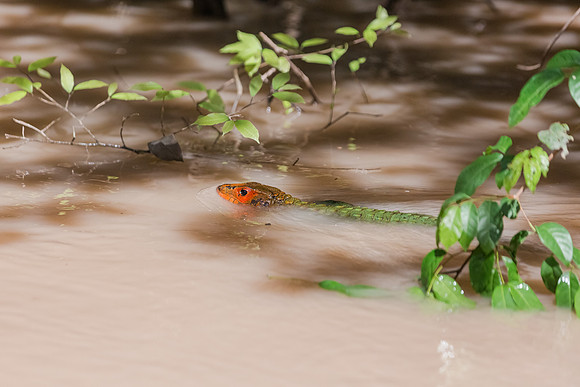 KelliBeePhotography-Peru-Amazon-Day5-0046
