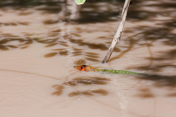 KelliBeePhotography-Peru-Amazon-Day5-0047