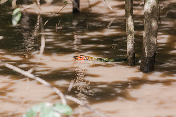 KelliBeePhotography-Peru-Amazon-Day5-0050