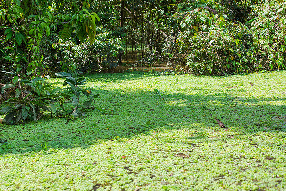KelliBeePhotography-Peru-Amazon-Day5-0057