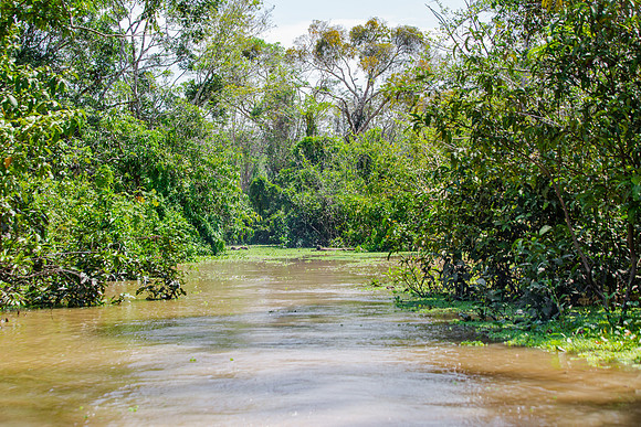 KelliBeePhotography-Peru-Amazon-Day5-0058