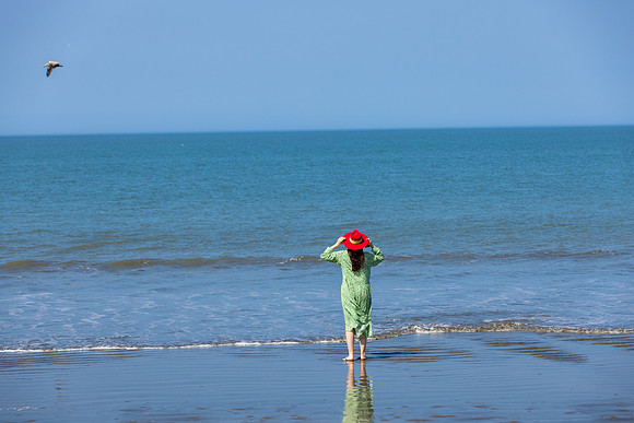 LG_11650